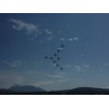 PC-7 Team