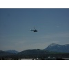 AS 332 M1 Super Puma T-314