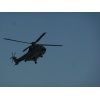 AS 332 M1 Super Puma T-314