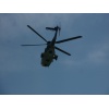 AS 332 M1 Super Puma T-314