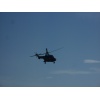 AS 332 M1 Super Puma T-314