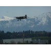 Pilatus PC 6