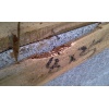 02 IMAG0359