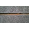 04 IMAG0345