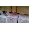 05 IMAG0339