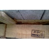 07 IMAG0341
